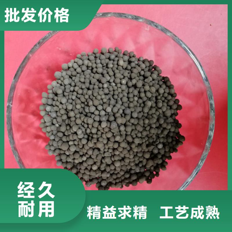 BAF滤池用生物陶粒