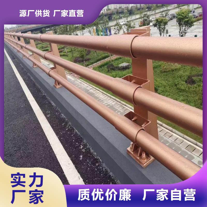 钢板静电喷塑桥梁立柱展鸿护栏长期供应