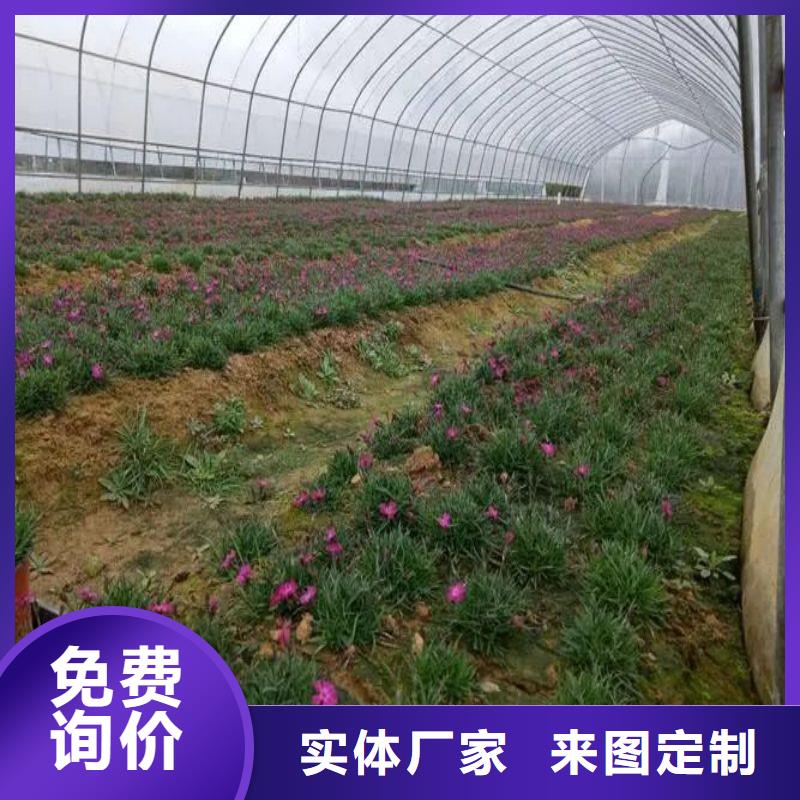 西樵镇热镀锌薄壁管多少钱