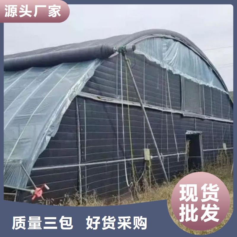 红安县暖棚正规厂家