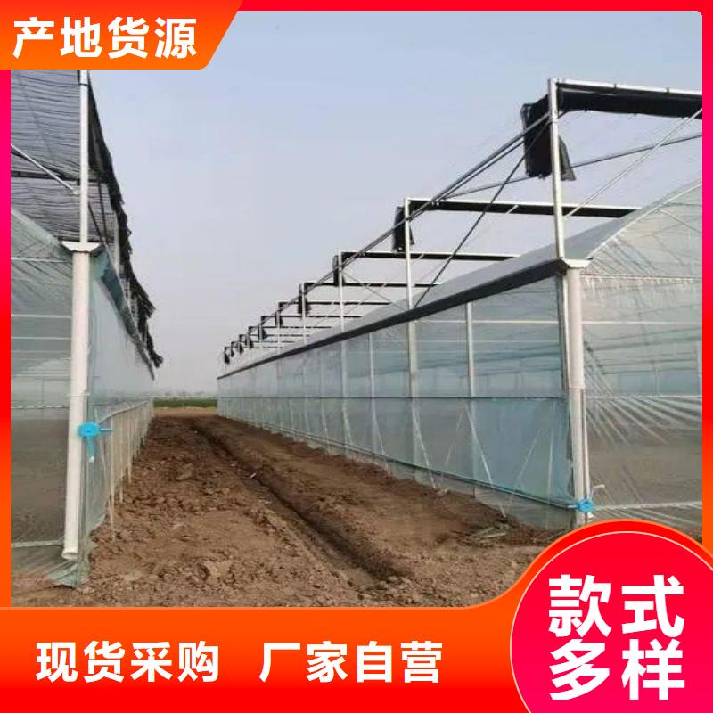 龙江镇草莓大棚管折弯哪里