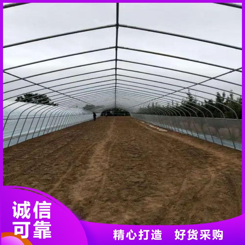 连栋大棚种植生产厂家2025