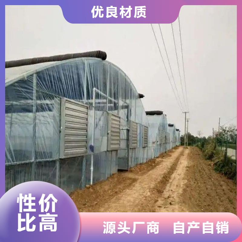 金门县可折弯大棚管种植基地