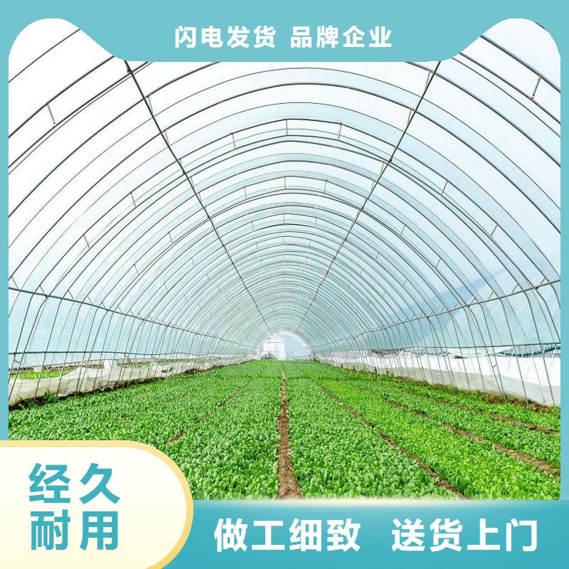 云东海街道牛头骨架钢管