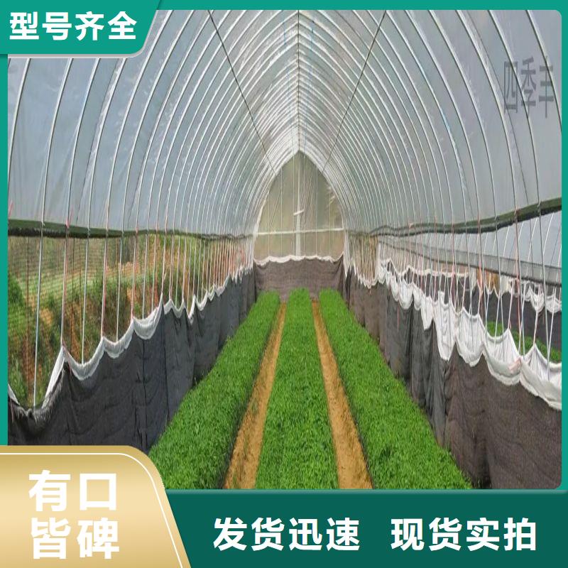【大棚管2温室大棚管省心又省钱】