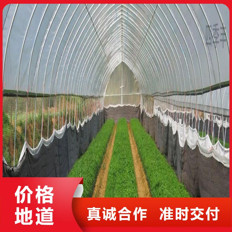 安图无锡连栋大棚采购价格2025