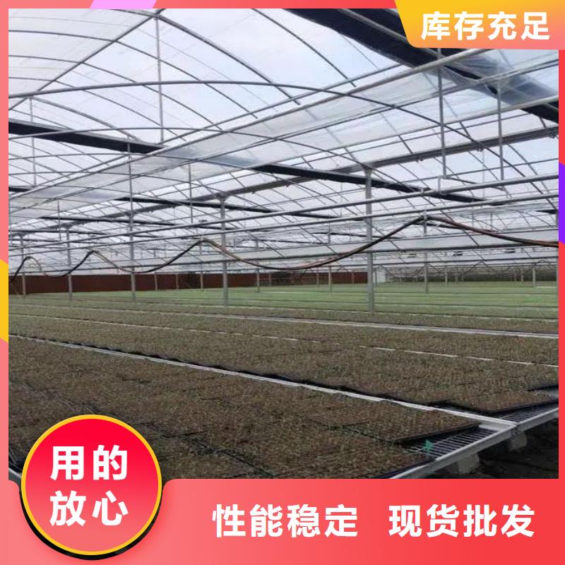 界首市农用8米大棚管地址