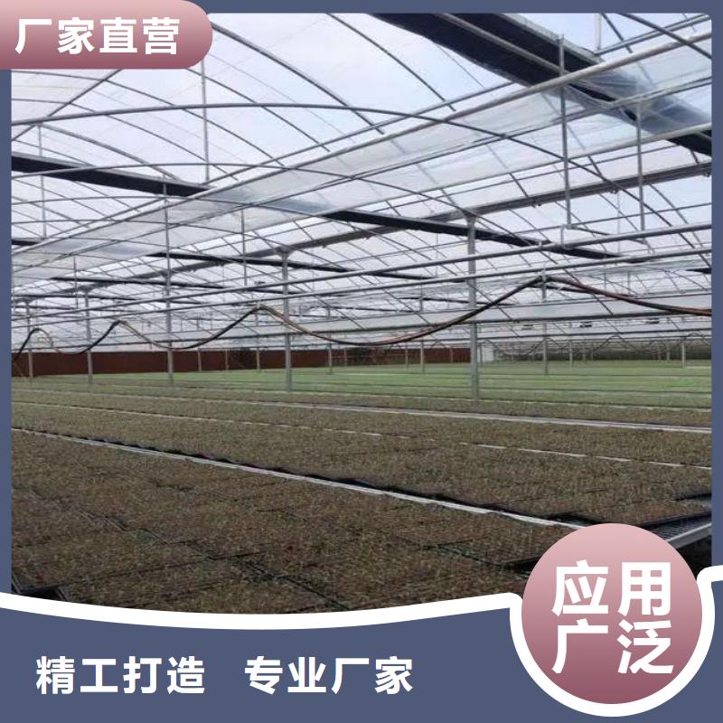 安丘市连体大棚下单