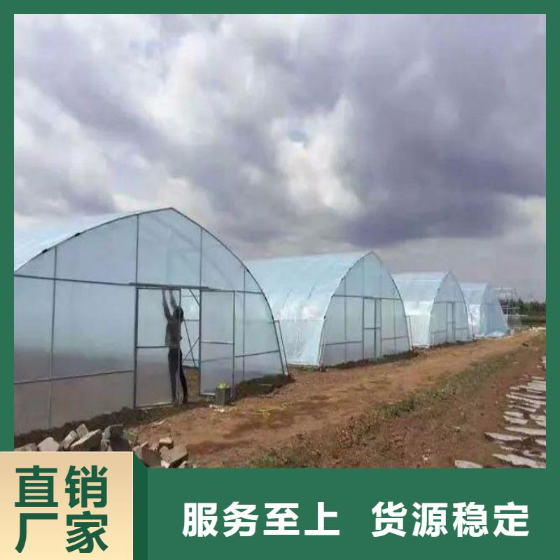 昌邑种植大棚型号全