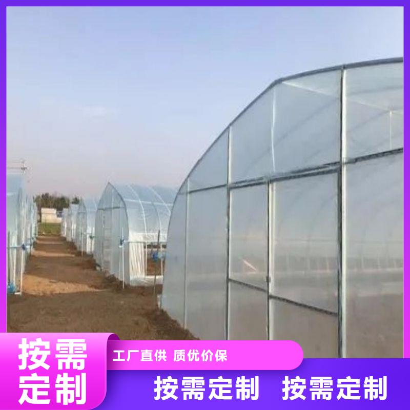 昌宁县养鸡定尺大棚管购买
