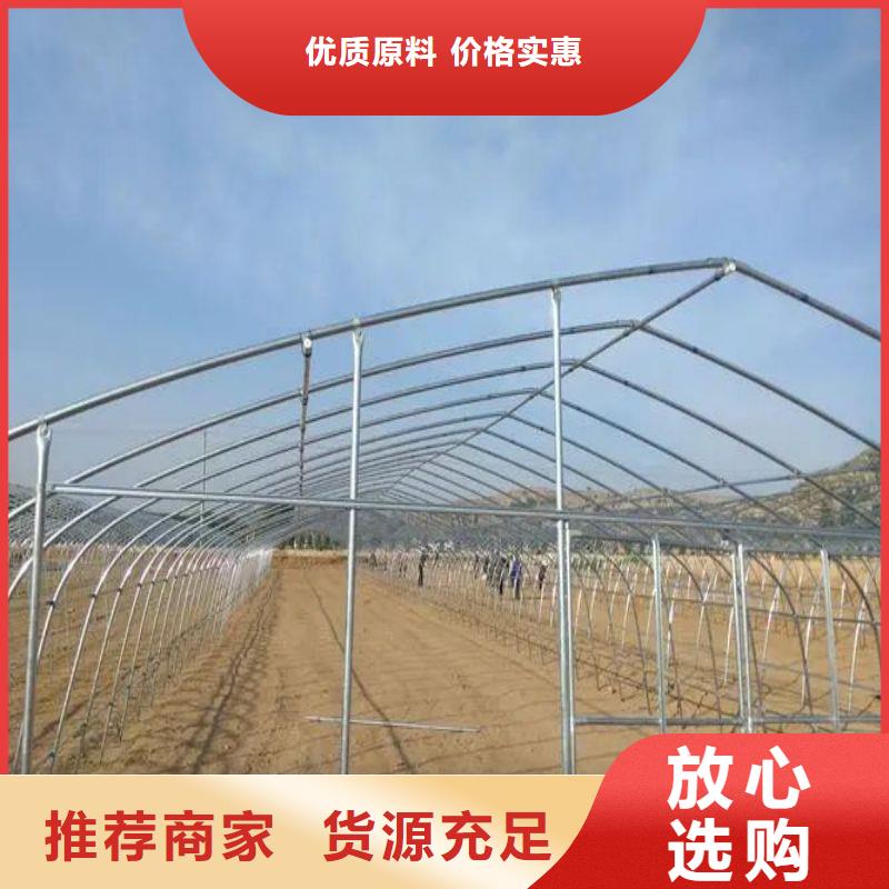南乐县单体大棚咋卖