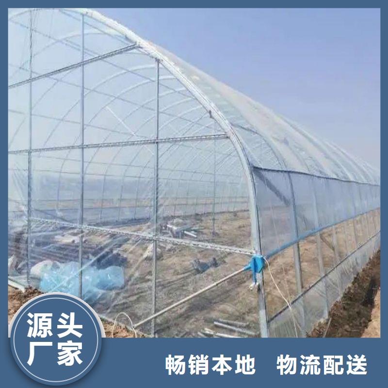 屯昌县肩高1.8米顶高2.5米大棚管折弯