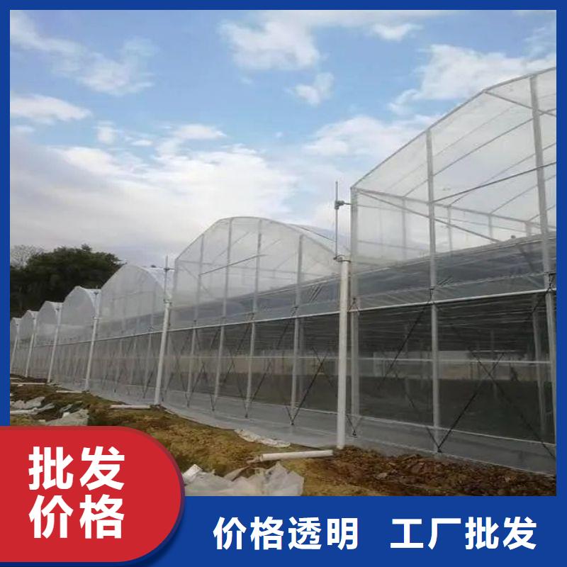 琅琊连栋大棚图片厂家2025