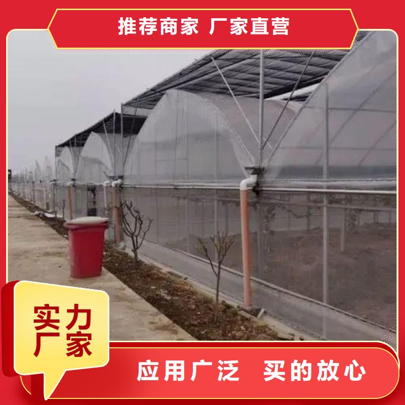 诸城连栋大棚的优缺点厂家2025