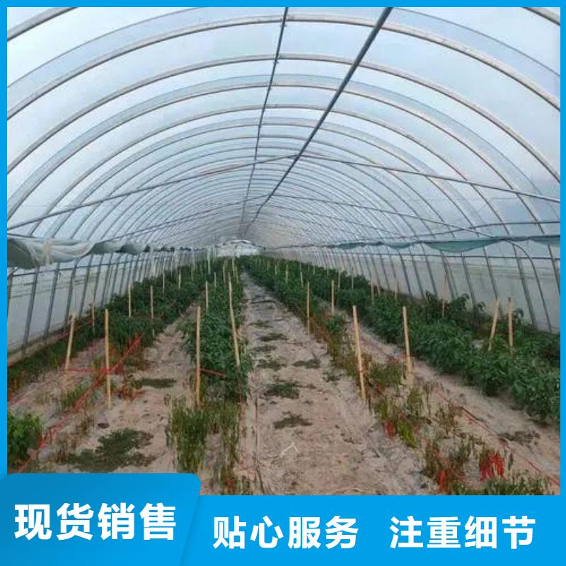 西工无锡连栋大棚产品介绍2025