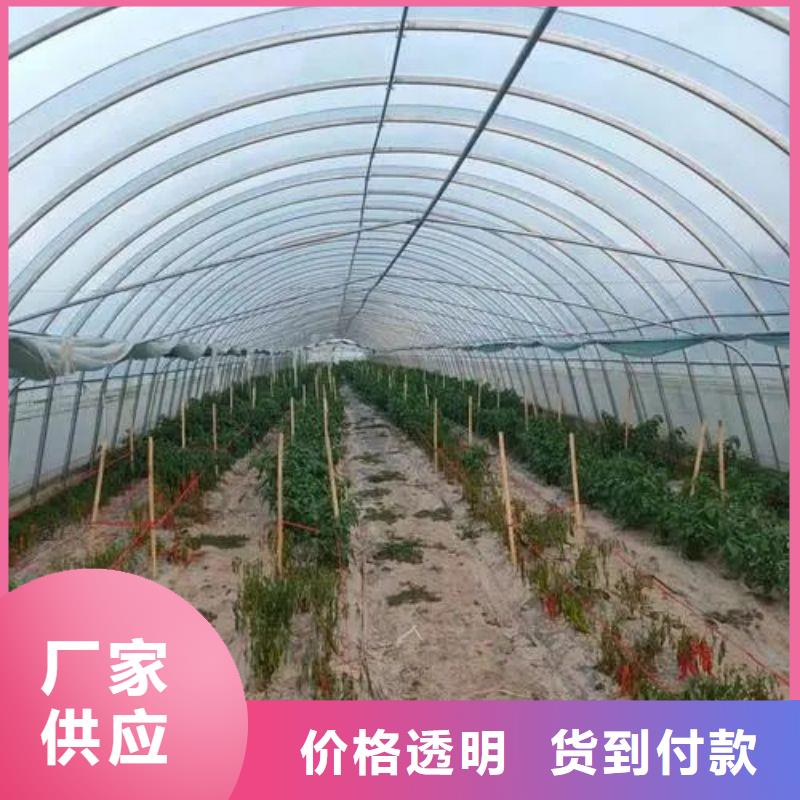 大棚管2,镀锌方管生产厂家