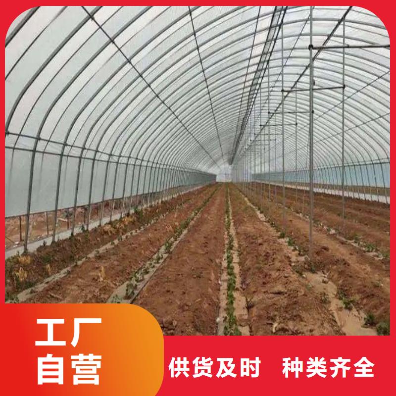 大棚管2
大棚管标准工艺覆盖范围含|杞县|龙亭|郑州|许昌|驻马店|焦作|洛阳|商丘
