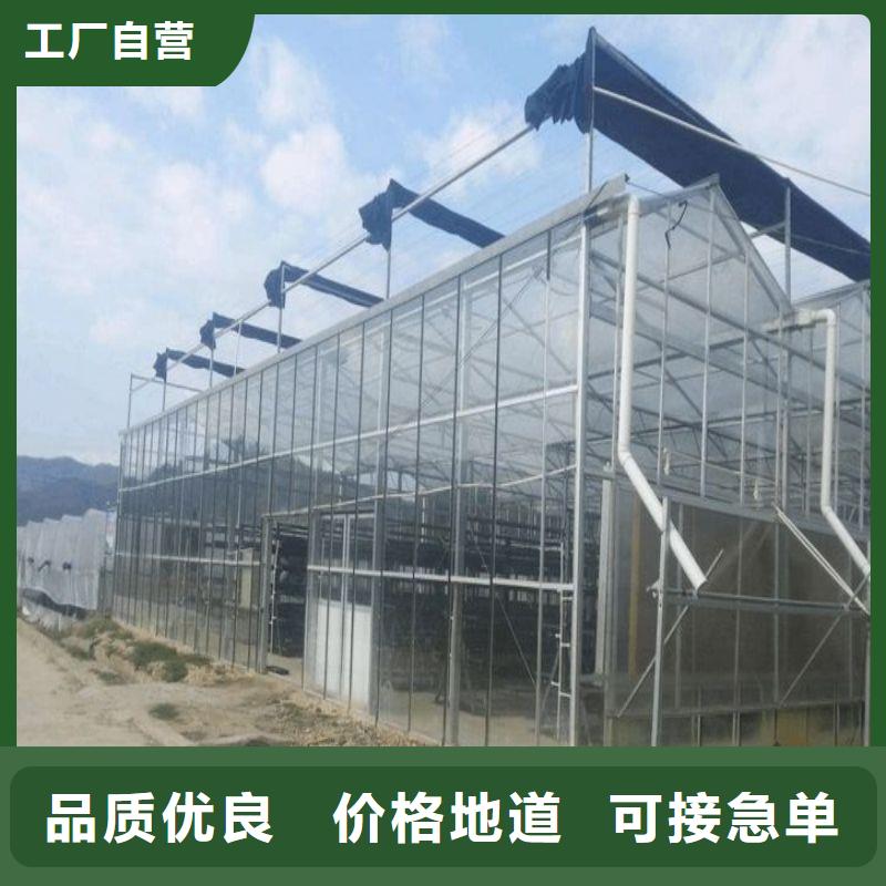 连栋大棚结构图直销价格2025
