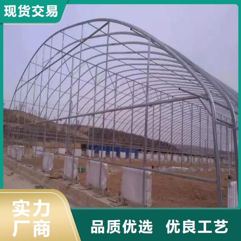 依安县连体大棚实力厂家