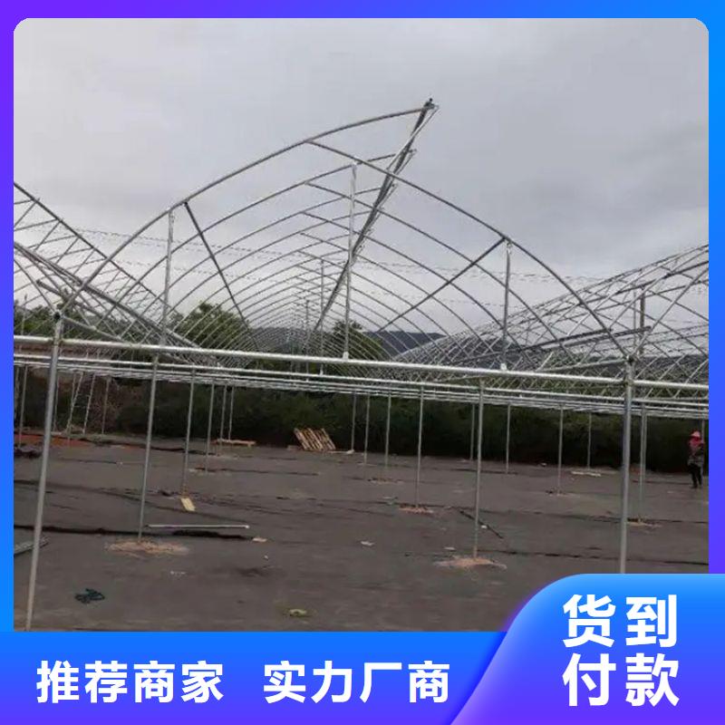 高密联动大棚诚信企业