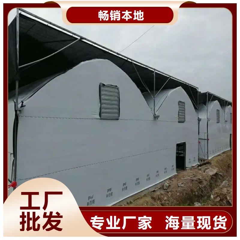 石峰区大棚连栋骨架管咋卖