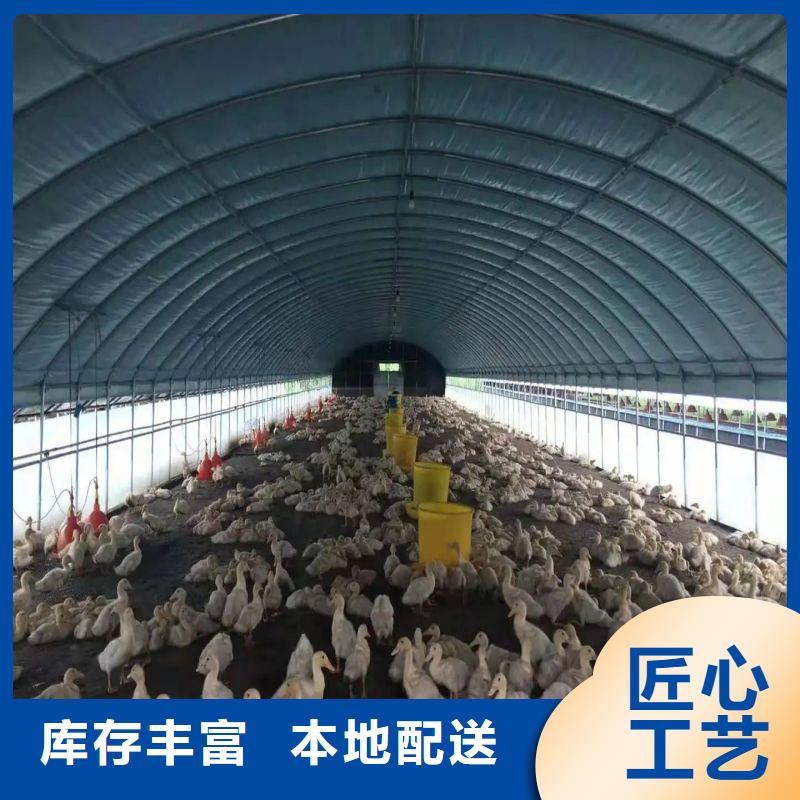大棚管2_ 大棚管质检合格出厂