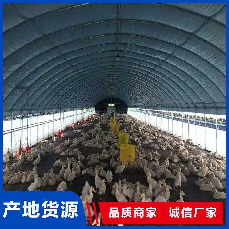诸城种植大棚销售