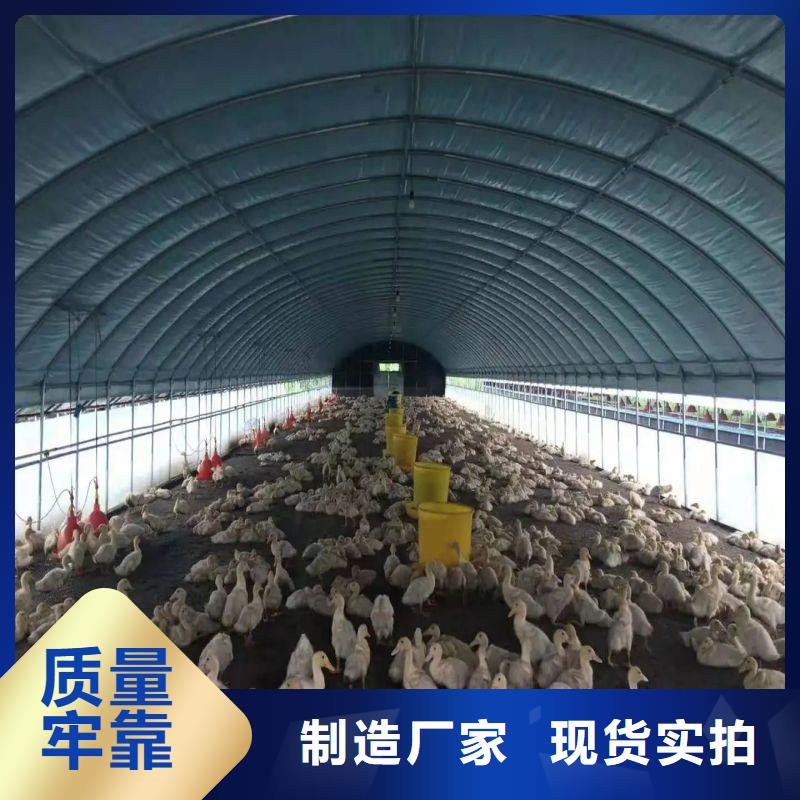 诸城连栋大棚的优缺点厂家2025