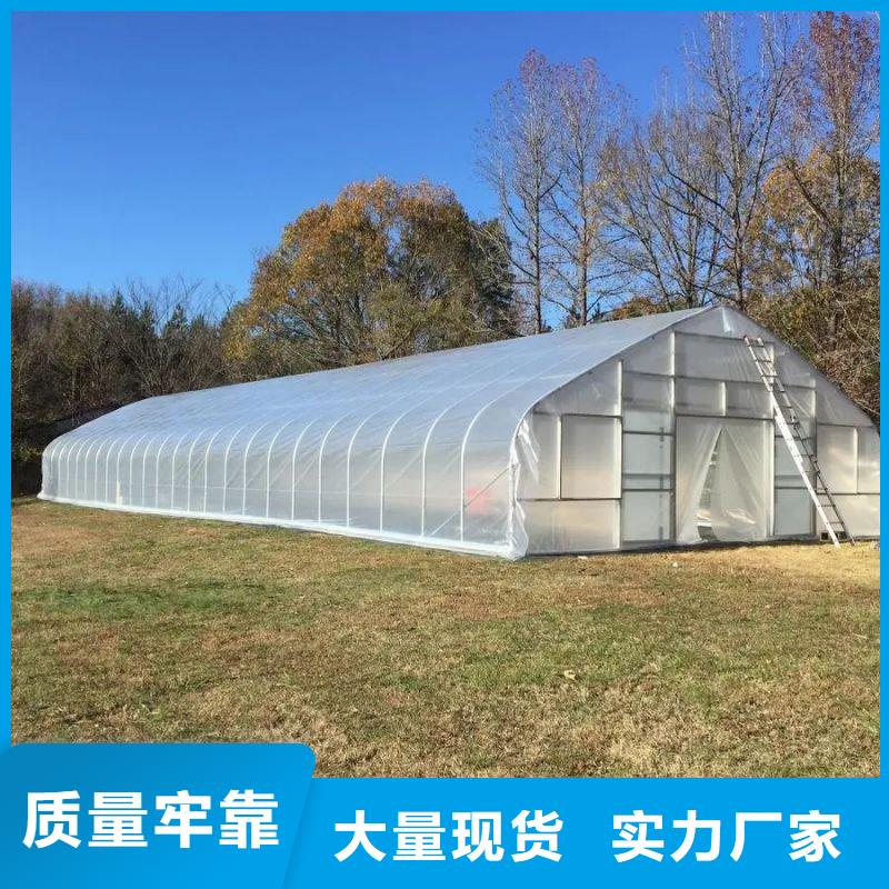 大棚管2大棚管价格低
