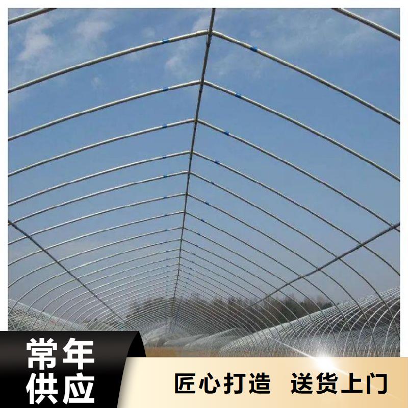 黄州连栋大棚批发零售2025