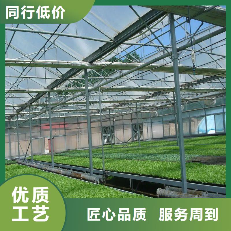 连栋大棚种植生产厂家2025