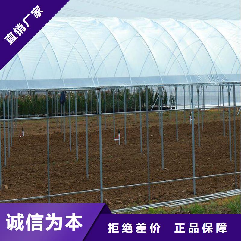 顺德区温室大棚热镀锌钢管发货快