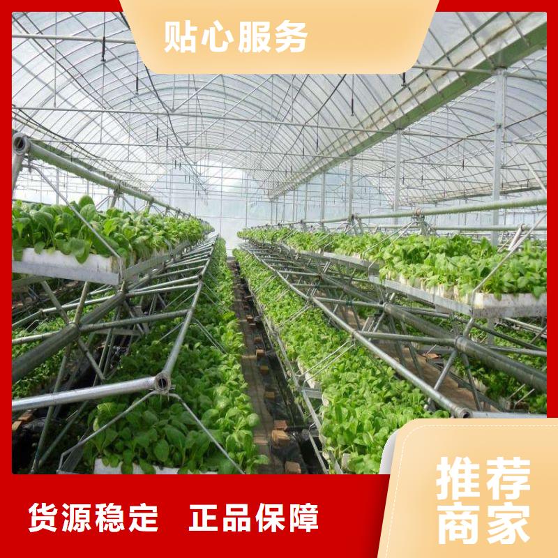 大棚管2_智能温室大棚实力厂家