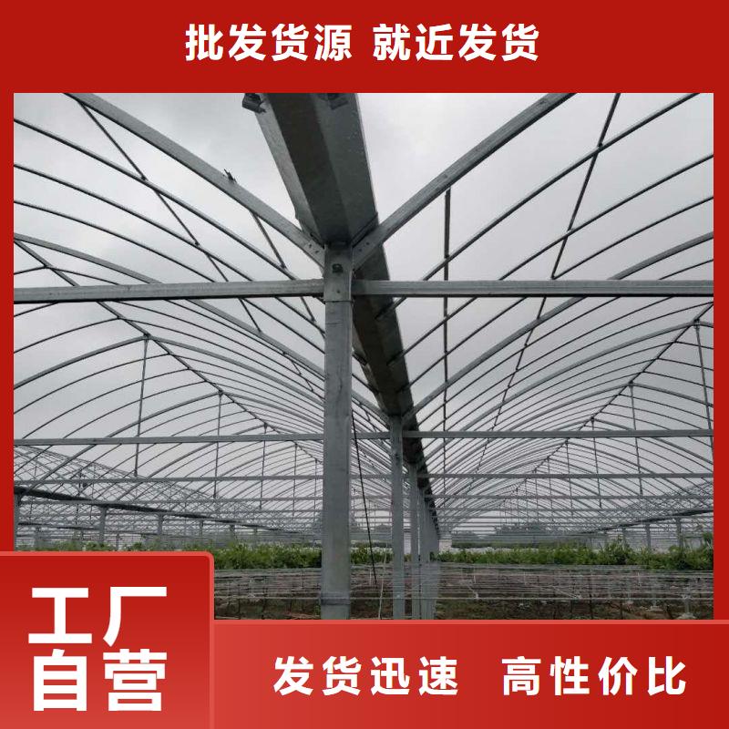 兴宁连栋大棚近期行情2025