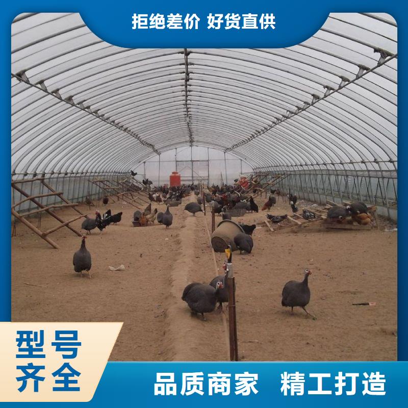 【大棚管2】-连栋大棚管价格透明