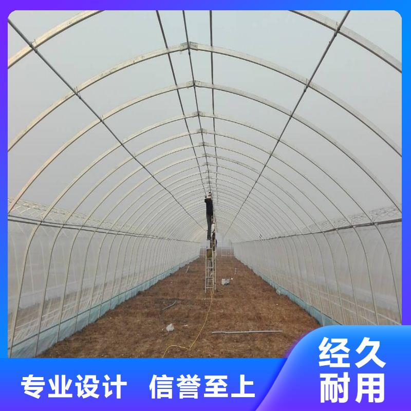 红古区棉被大棚择优
