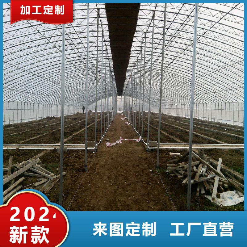 连栋大棚种植生产厂家2025