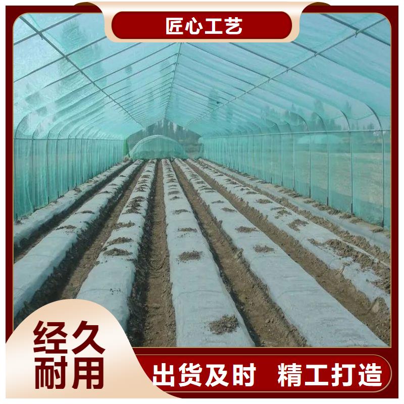 普安县简易温室售卖