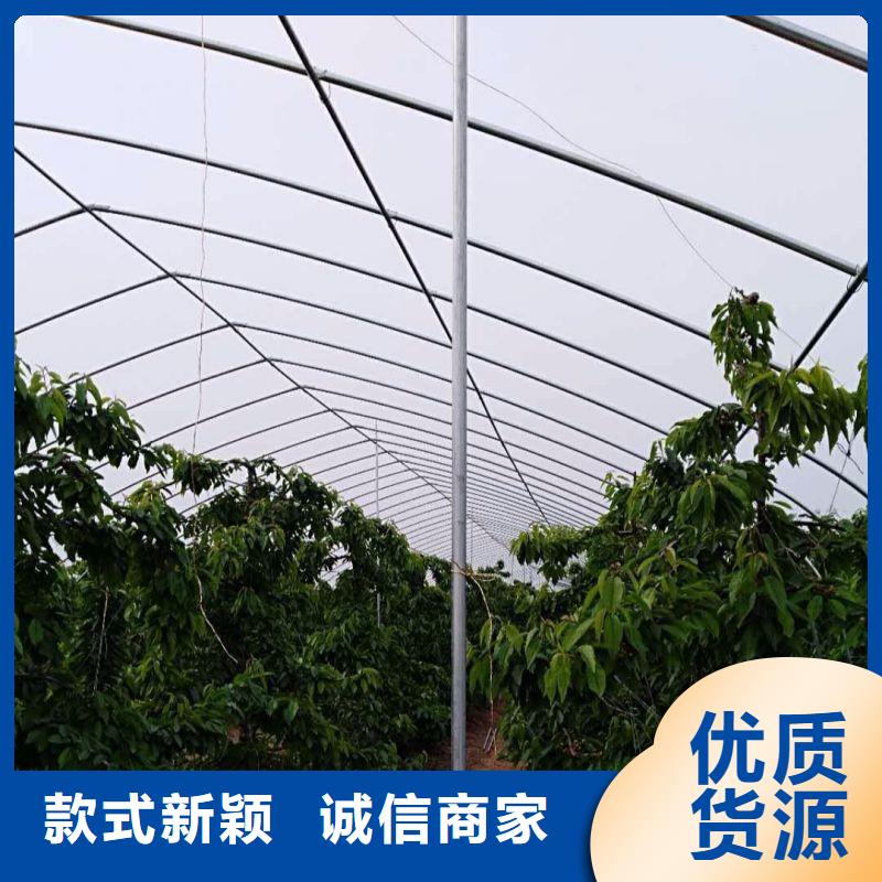 岚山1寸大棚管生产厂家