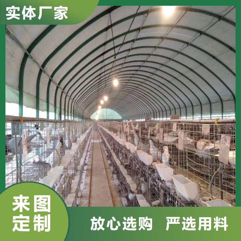 大棚管2-大棚管支持定制贴心售后