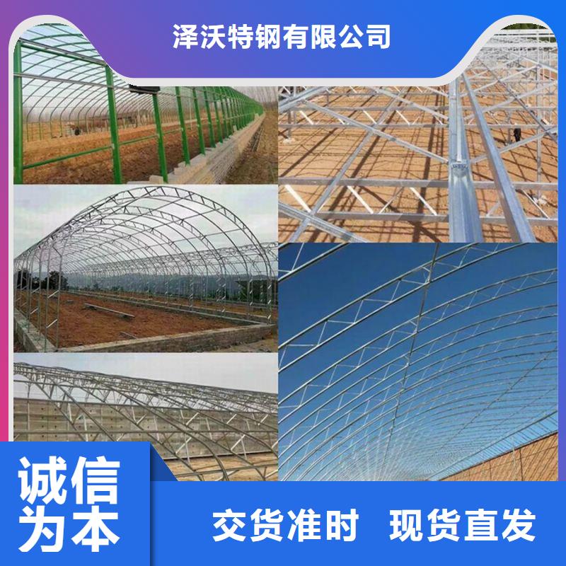 颍州塑料薄膜大棚实力老厂