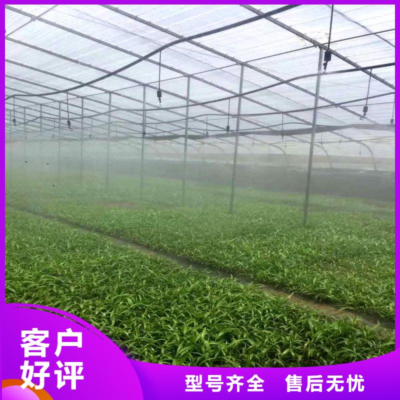 大棚管2温室大棚管好品质售后无忧