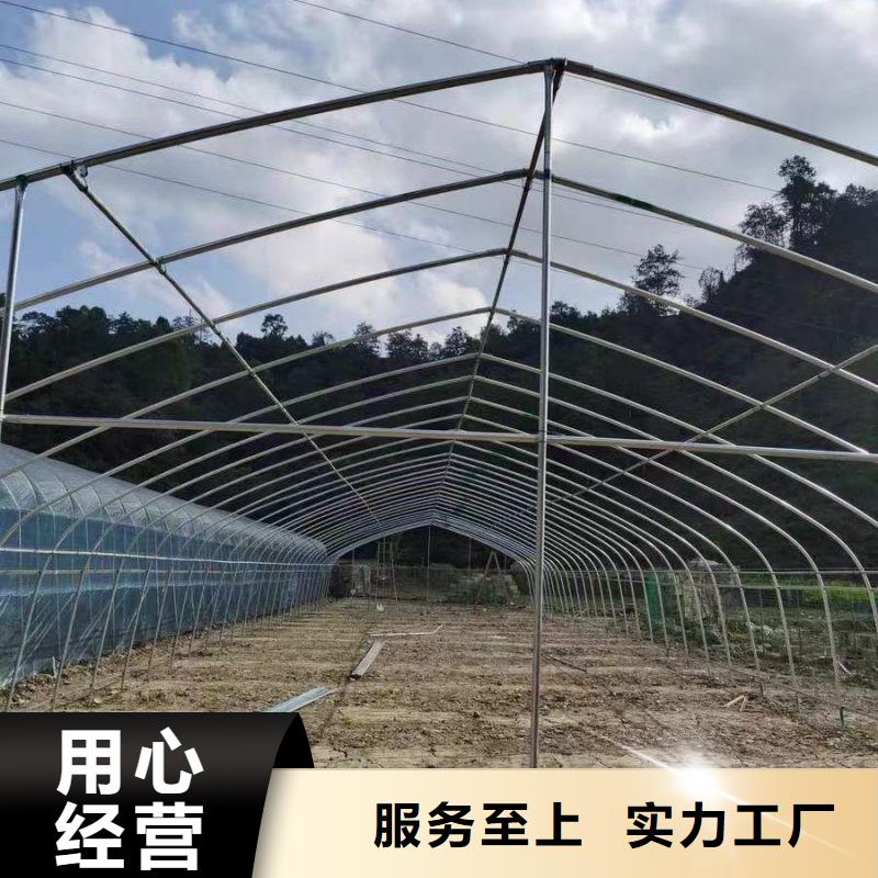 信宜市定尺连栋蔬菜大棚管择优推荐