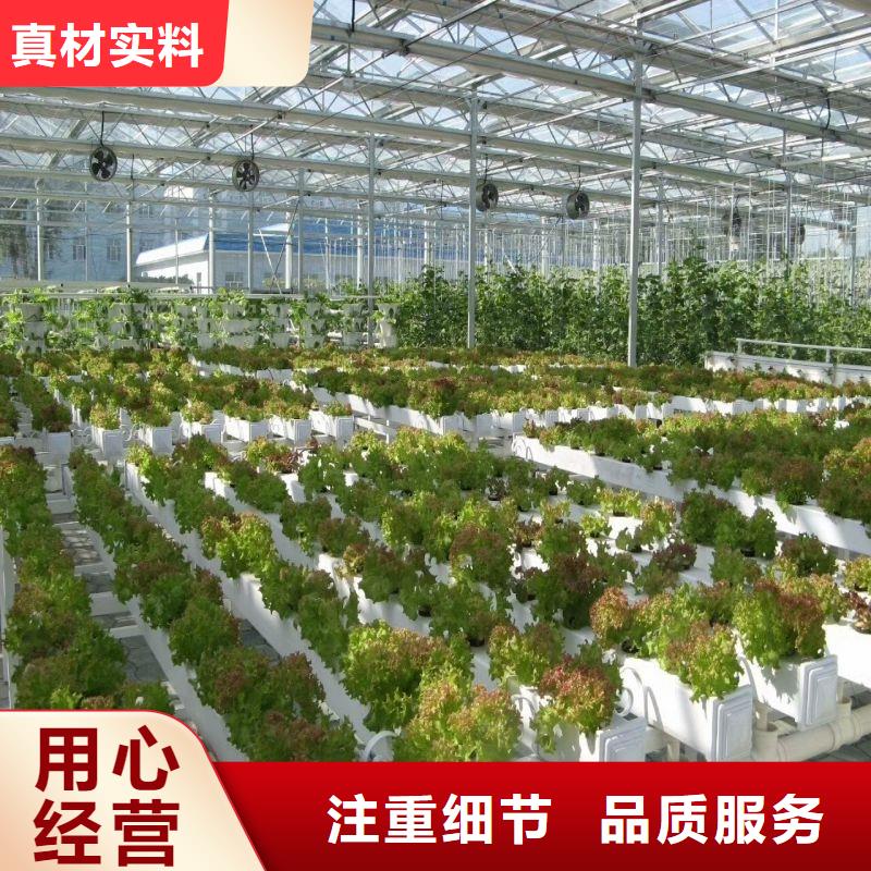 潍城区玻璃智能温室厂家哪里