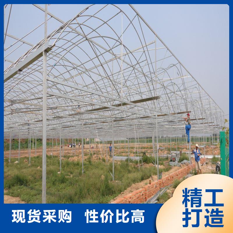 诸城种植单体大棚值得信赖