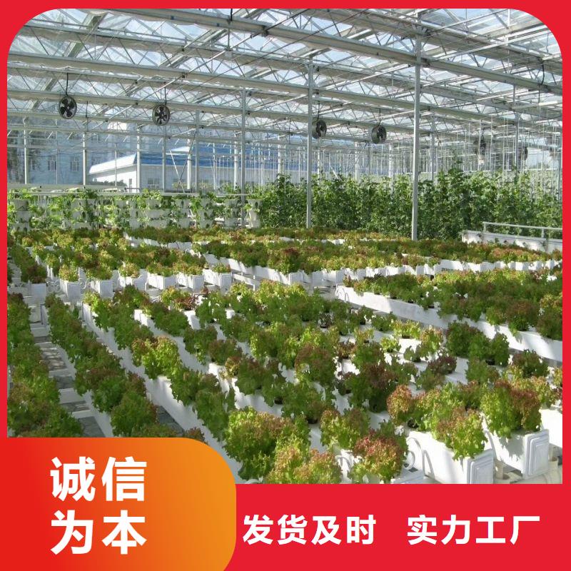 石首连栋大棚安装视频教程价格行情2025