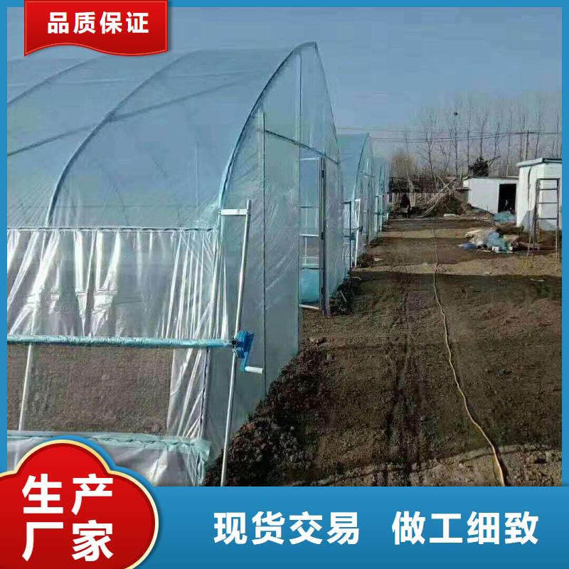 晴隆县养殖大棚钢管购买