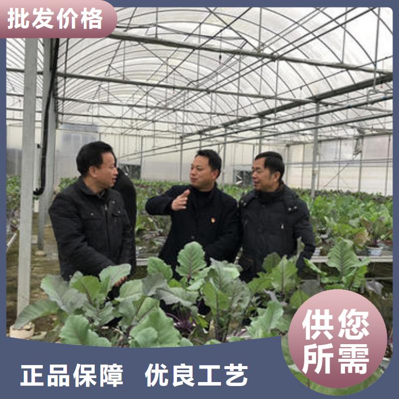 大棚管 镀锌方管好货有保障