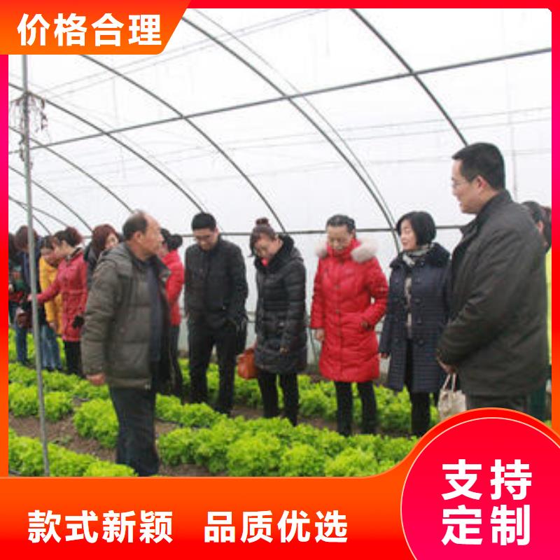 大棚管_【温室大棚管】源头厂家直销