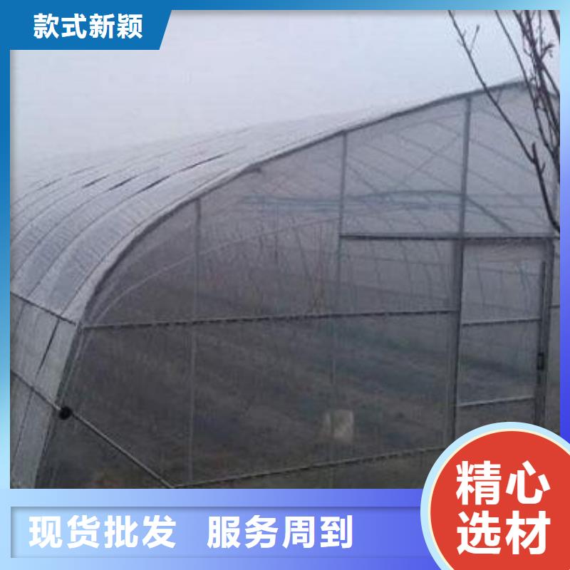 大棚管-智能温室大棚价格合理